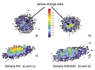 Pressure Film Fig 3: The 2D and 3D Rendering of the Data Recorded on the Fujifilm Prescale® Pressure Film