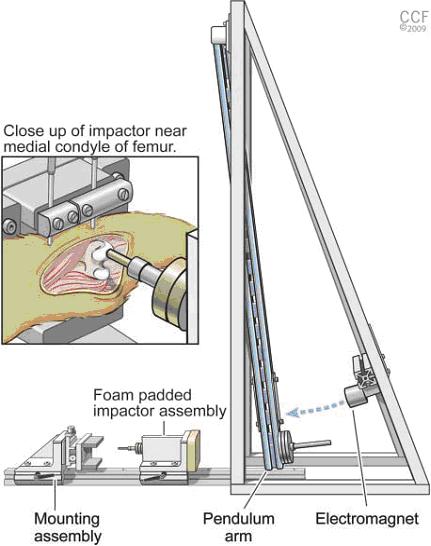 Impact Apparatus