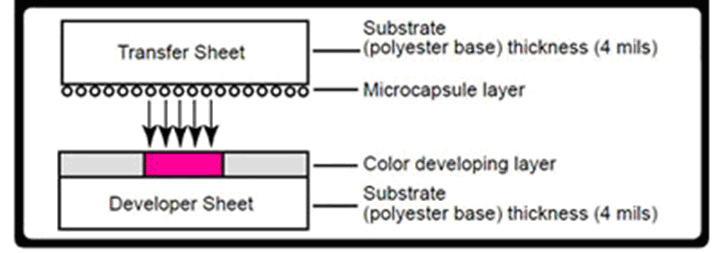 Cross Section