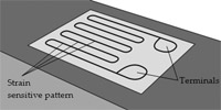 Fig 1: Strain Sensitive Pattern