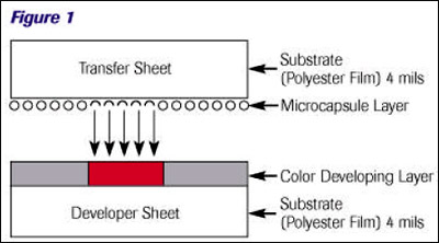 Figure 4: A cross-section view of a piece of tactile pressure film reveling the special technology behind its efficient and inexpensive use.