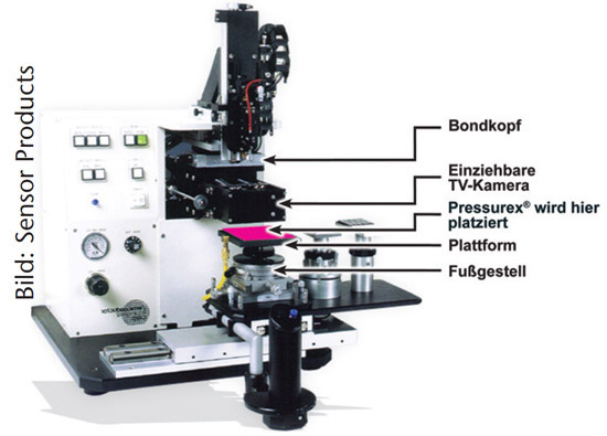 pressurex wpressurex