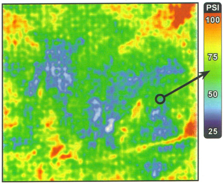 topaq analysis figure 3