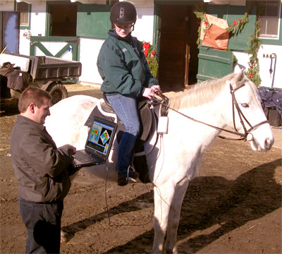 equestrics on site equestrics on site