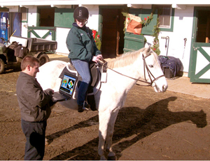 Equestrics® Sensor instantly reveals rider’s pressure on saddle.