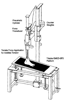 Biomechanics Fig. 2. Foot loading apparatus with EMED SF-platform.