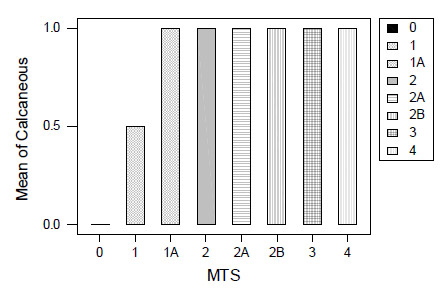 Figure 11: Calcaneus fracture by MTS. figure 11
