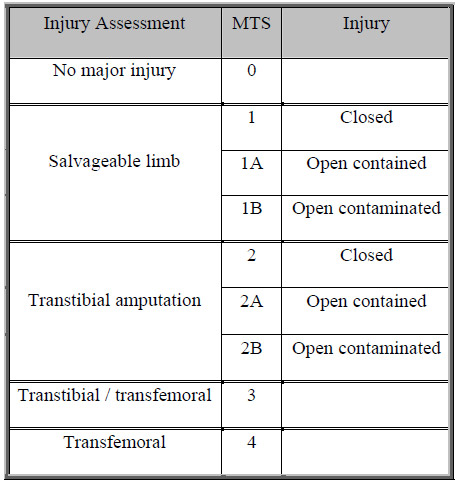 Table 2: Mine Trauma Score System table 2
