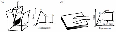 Figure 2. (a) Diagram of the configuration of a wedge test, designed to estimate the toughness of specimens of cheeses and
carrot. figure 2