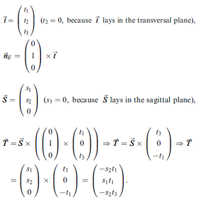 Principal axis determination of the patellar-based coordinate table 1