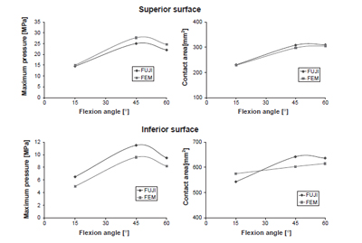 Fig. 6. Comparison of FEM simulations and Fuji measurements. figure 6