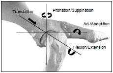 Biomechanics Abb. 2.1: Bewegungsachsen des Hüftgelenks mit den Rotationsfreiheitsgraden.