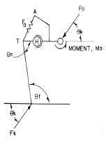 Biomechanics Abb. 2.11: Vereinfachtes Schema des Beckens und Femurs zur Darstellung der Kräfte, die am Hüftgelenk wirken; A Ilium, Fa Abduktoren, H Femurkopf, T Trochanter, θn Halsschaftwinkel, θf Adduktion des Femurs, Fk Bodenreaktionskraft am Knie (Abb. nach Arnoczky und Torzilli, 1981).