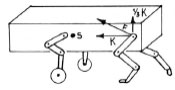 Biomechanics Abb. 2.7: Horizontale und vertikale Kräfte, die durch die Last des Körpergewichts (K) auf das Hüftgelenk wirken, F = Summenvektor (Abb. nach Prieur, 1980).