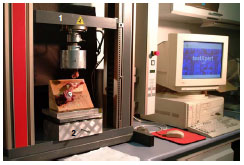 Biomechanics Abb. 3.11: Computergesteuerte Materialprüfmaschine Zwick Z010. 1 Kraftmessarm mit Kraftmessdose, 2 frei beweglicher Kugellagerblock mit darüber liegender Stahlplatte.