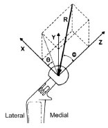 Biomechanics Abb. 3.14: Richtung von R dargestellt am Kopf einer instrumentierten rechten Hüftendoprothese, die y-Achse würde in dieser Ansicht von kranial nur einen Punkt darstellen, ist aber zur Verdeutlichung als Achse gezeichnet, nähere Erläuterungen siehe Text (Abb. nach Page et al., 1993).