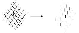 Biomechanics Abb. 5.2: Anordnung der sich überkreuzenden Kollagenfasern der Tangentialfaserschicht des Gelenkknorpels unter Zugbelastung; es bilden sich Spalten aus, die der Vorzugsrichtung der Kollagenfasern entsprechen, die Spaltlinien repräsentieren den „Summenvektor“ der Kollagenfaserausrichtung.