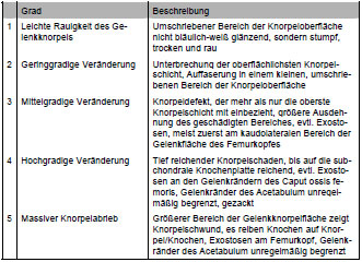 Biomechanics Tab. 3.3: Einteilung der Knorpelschäden in Grade