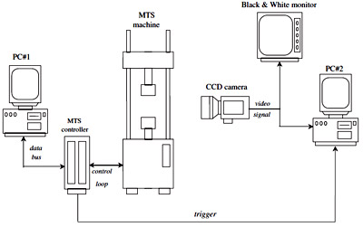 Fig. 3. Compression test MTS system setup. figure 3