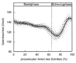 Biomechanics Abb. 9: Ganganalysenkurve des Kniegelenks (nach Hottinger et al., 1996)