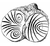 Biomechanics Abb. 12: Skizze des Spaltlinienverlaufs am humanen Tibiaplateau. Attraktive singuläre Punkte in den zentralen Belastungsbezirken (Hehne et al., 1981a).