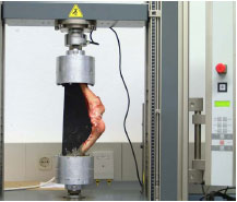 Biomechanics Abb. 16: Versuchsaufbau zur Ermittlung der Kontaktflächen in der Art. femorotibialis. Das präparierte Kniegelenk wurde mit der angeschraubten Schablone in die Aluminiumbecher einzementiert.