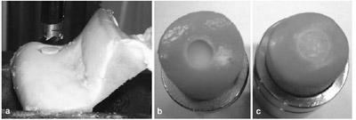 Fig. 1 Specimen preparation: a cylindrical specimens are obtained
from the condyles of fresh bovine knees figure 1