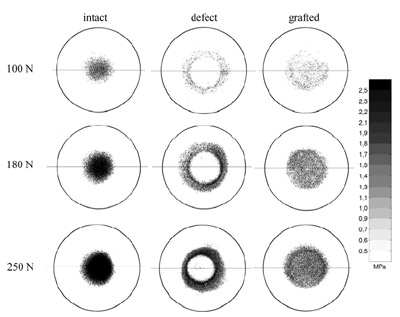 Fig. 3 Contact pressure distribution measured at increasing levels of contact load, on a set of specimens in three configurations: (left) intact, (middle) with a 12-mm diameter fullthickness cartilage defect and (right) with the defect grafted using fibrin glue figure 3