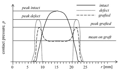 >Fig. 4 Qualitative representation of the measured contact pressures
along a specimen diameter figure 4