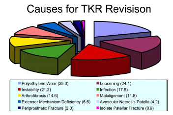 Biomechanics Figure 2-2: Adapted from Sharkey et al. (2002). Pie graph depicting the causes of TKR revision in a study of 212 total knees requiring revision within the first 3 years post-implantation. Percentages are given in ( ). The summed percentage exceeded 100% because more than one cause was seen in many revised knees.