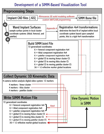 Biomechanics Figure 5-3: Flowchart outlining the steps required in developing a SIMM-based visualization tool.
