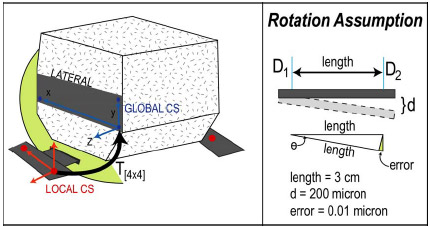 Biomechanics Figure 6-4: Schematic illustrating the location of global and local coordinate systems (CS) (left). The red dots indicate the contact points of DVRTs with aluminum wings. Since each DVRT was aligned with the global y-axis, for each frame of data a new y-coordinate could be determined for each contact point and subsequently a new 4x4 transformation from local CS to global CS. This is based upon the rotation assumption illustrated (right).