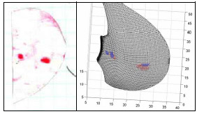 Biomechanics Figure D-2: LEFT – Scanned image of contact area location on fuji film. RIGHT – Triangulated mesh with real contact (RED) and computationally determined contact (BLUE) with a contact detection threshold of 0.8562 mm.