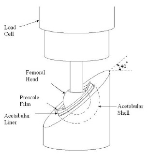 Figure 4. Test configuration for Fuji Prescale Film stress measurements. Figure 4. Test configuration for Fuji Prescale Film stress measurements.