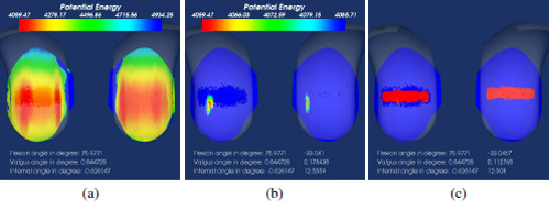 Contact predicted by the FKK model and the contact determination algorithm Fig. 2. Contact predicted by the FKK model and the contact determination algorithm