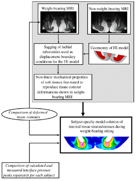 Fig. 1. A schematic description of our ��reverse engineering�� approach
to study internal tissue strains and stresses. figure 1