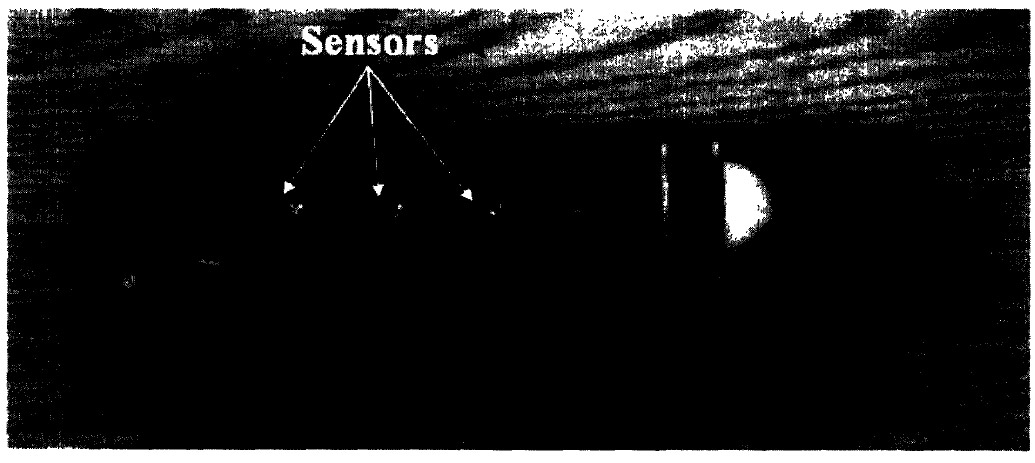 Figure 4-1: Fish in mold, complete with sensors. figure 4.1