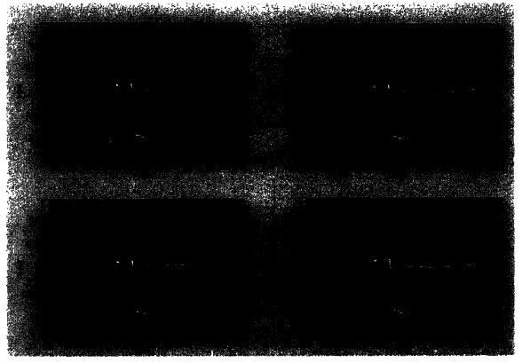 Figure 5-6: Still pictures from movie, with plots of equation 5.3 superimposed. figure 5.6