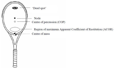 Figure 2. Sweet spot and other important locations on the tennis racquet figure 2