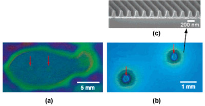 Figure 6. (a) Photograph of dust affected area in SPP. (b) Optical micrograph of dust-affected area in ACP. (c) SEM image of imprinted 200 nm period gratings in resist 0.8 mm from a dust center in ACP. Red arrows in parts a and b point to dust sites.