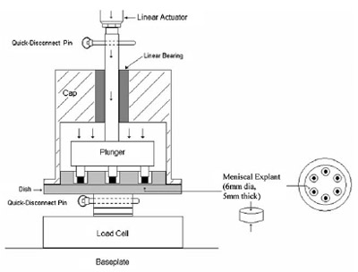 Biomechanics FIGURE 2. A 2-dimensional drawing of the test frame shows the side and top view of the test system. The linear actuator is attached to the plunger using a quick-disconnect pin. The dish is attached to the load cell in the same manner. The cap improves alignment of the plunger by utilizing a linear bearing.