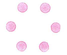 Biomechanics FIGURE 5. Pressure film impressions at 0.477 MPa under the six bioreactor compression rods.