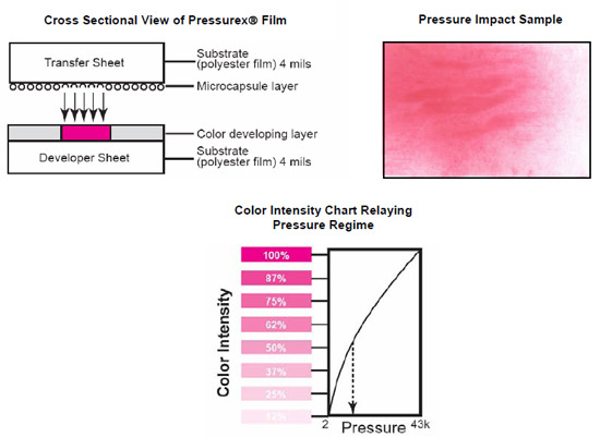 Figure 4.8.1: An exposed pressure film sample demonstrating the correlation between color dye intensity and quantitative pressure (Sensor Products, Inc.). figure 4.8.1