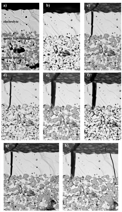 Fig. 10. SEM study of microstructural changes in anode and anode substrate due to reduction/re-oxidation cycles. figure 10