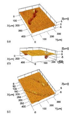 Fig. 22 Surface profiles of the small contact area brass specimen after the high-pressure friction test. The images show regions where material appears to have been gouged out leading to excessive surface damage. Fig. 22 Surface profiles of the small contact area brass specimen after the high-pressure friction test. The images show regions where material appears to have been gouged out leading to excessive surface damage.