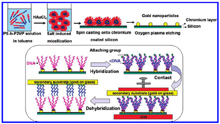 Scheme 1. Gold Nanoparticle Preparation and SuNS Cycle scheme 1