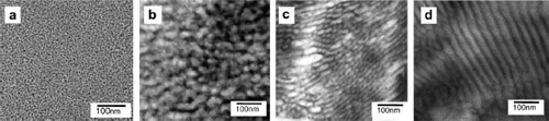 TEM micrographs of (a) Nafion and fluorous block copolymers: (b) disordered morphology, (c) perforated lamellae morphology and (d) lamellae morphology. Fig. 1. TEM micrographs of (a) Nafion and fluorous block copolymers: (b) disordered morphology, (c) perforated lamellae morphology and (d) lamellae morphology.
