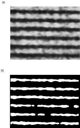 Figure 3.14 (a) Smooth version (b) Black and white version. figure3.14