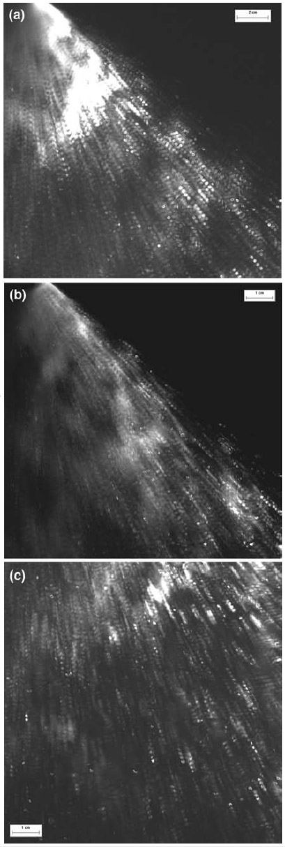 Fig. 3—Quadruple-exposure photographs of drops in air-mist jets figure 3