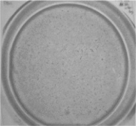 Fig. 10. Pressure distribution of hot embossing imprinting with uniform pressure apparatus. fig 10